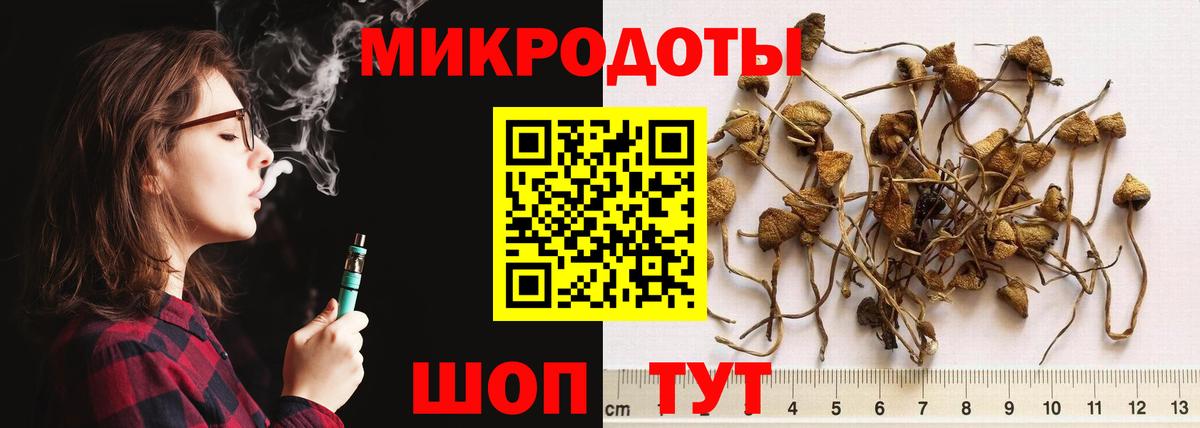 Псилоцибиновые грибы Psilocybine cubensis  Псилоцибиновые грибы мухоморы  Балтийск  Вход с VPN 